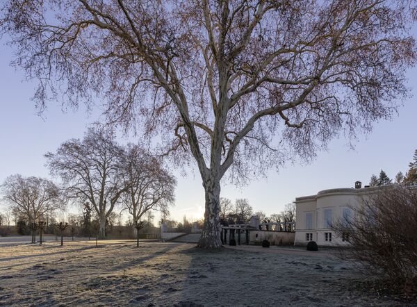 Blick auf das Schloss Charlottenhof im Winter